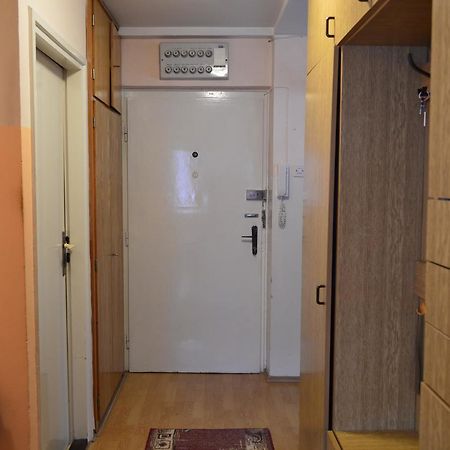 Apartman Nikolic Bor Zewnętrze zdjęcie