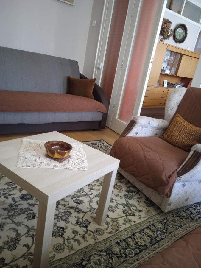 Apartman Nikolic Bor Zewnętrze zdjęcie