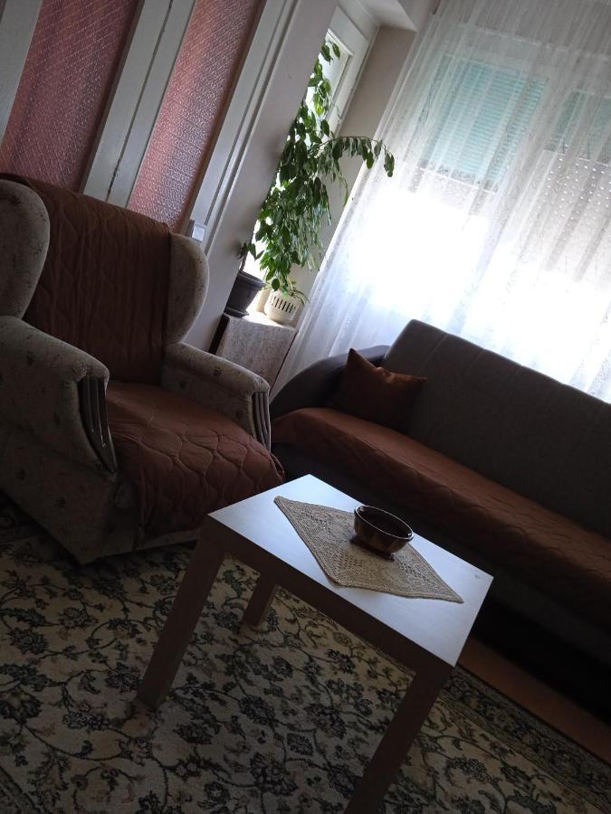 Apartman Nikolic Bor Zewnętrze zdjęcie