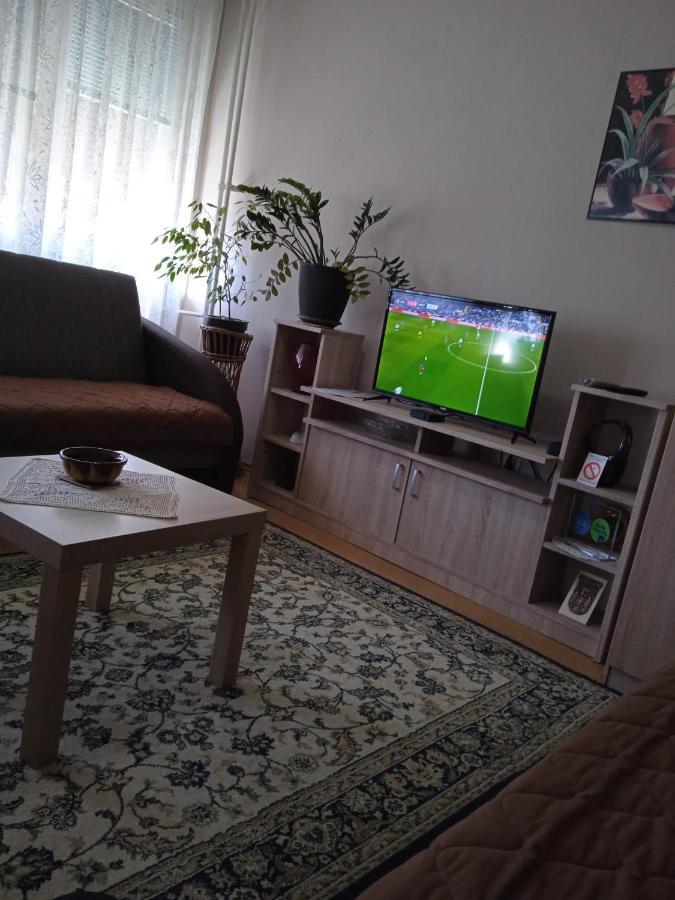 Apartman Nikolic Bor Zewnętrze zdjęcie