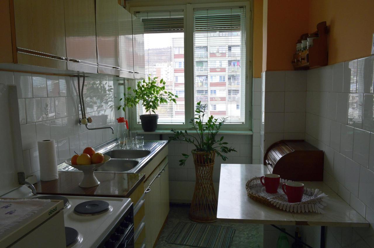 Apartman Nikolic Bor Zewnętrze zdjęcie