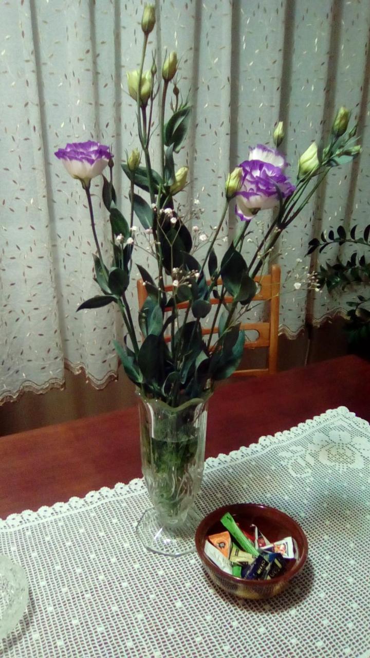 Apartman Nikolic Bor Zewnętrze zdjęcie